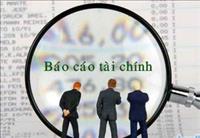 Báo cáo tài chính tổng hợp cho năm tài chính kết thúc ngày 31/12/2015